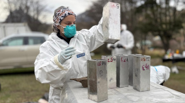 Investigación sobre Hantavirus: La Provincia y el Malbrán concluyeron el operativo de vigilancia