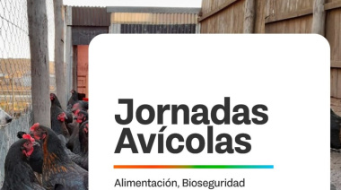 Impulsan la realización de jornadas avícolas para la producción local
