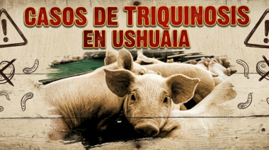 El Ministerio de Salud investiga un posible brote de triquinosis en Ushuaia