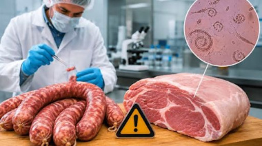 Salud informa que la mercadería analizada de los comercios de Ushuaia dio como resultado negativo