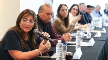 Castillo participó del encuentro del Consejo Federal de Energía