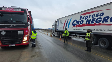 Organismos nacionales y provinciales realizan un operativo conjunto de control en la Ruta Nº 3