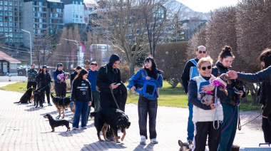 Campaña antirrábica: el Municipio de Ushuaia ya vacunó más de 240 animales