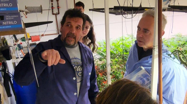 Cultivo de Cannabis: Destacan el nivel técnico y el potencial fueguino