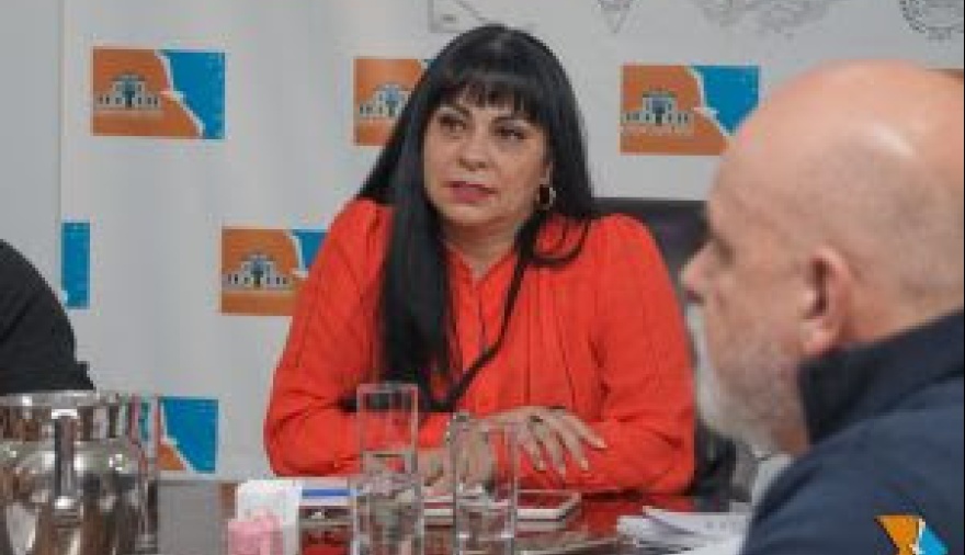 Mónica Acosta asumió la titularidad de la Comisión de Salud N° 5