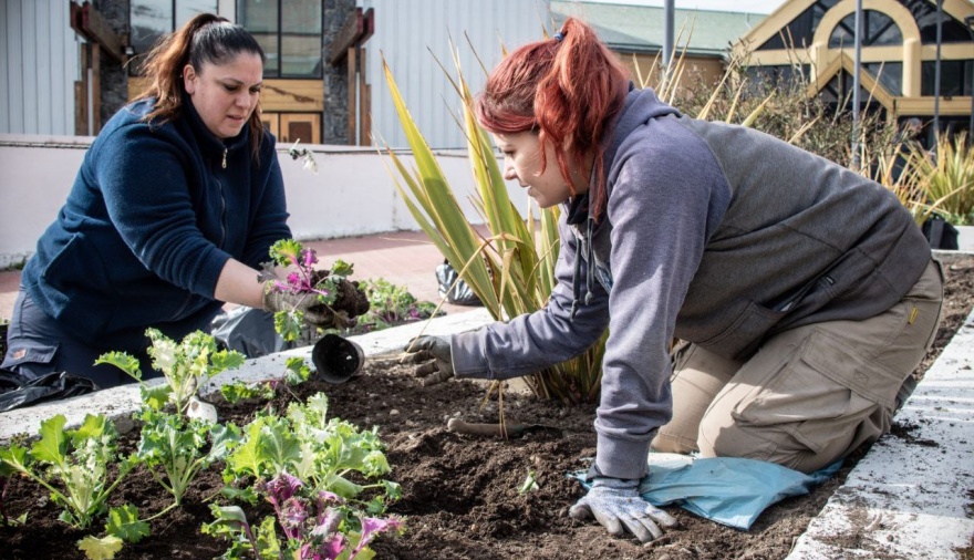 Parques y jardines reacondiciona los espacios verdes centricos