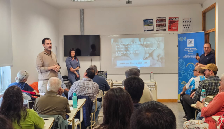 Hongos cultivados comestibles, una actividad productiva con alto potencial de desarrollo en Tierra del Fuego