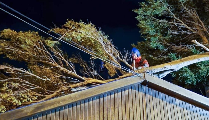 El Municipio despliega un operativo integral de acompañamiento y limpieza