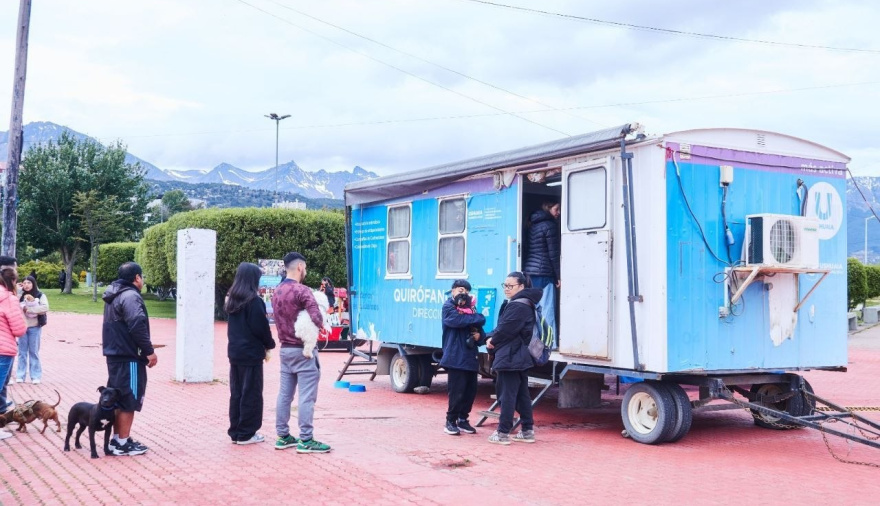 La Municipalidad brinda recomendaciones para prevenir gastroenteristis en caninos