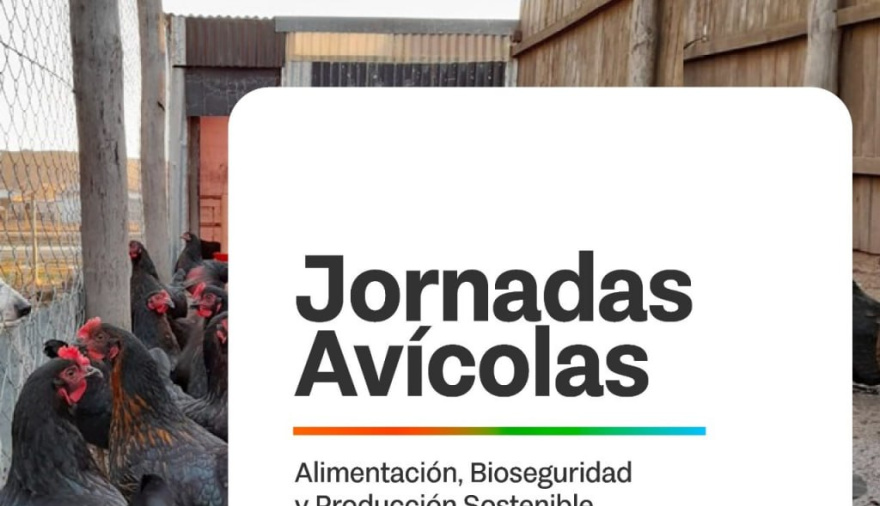 Impulsan la realización de jornadas avícolas para la producción local