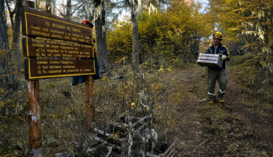 Reserva Corazón de la Isla: Declaran de interés ambiental la participación ciudadana