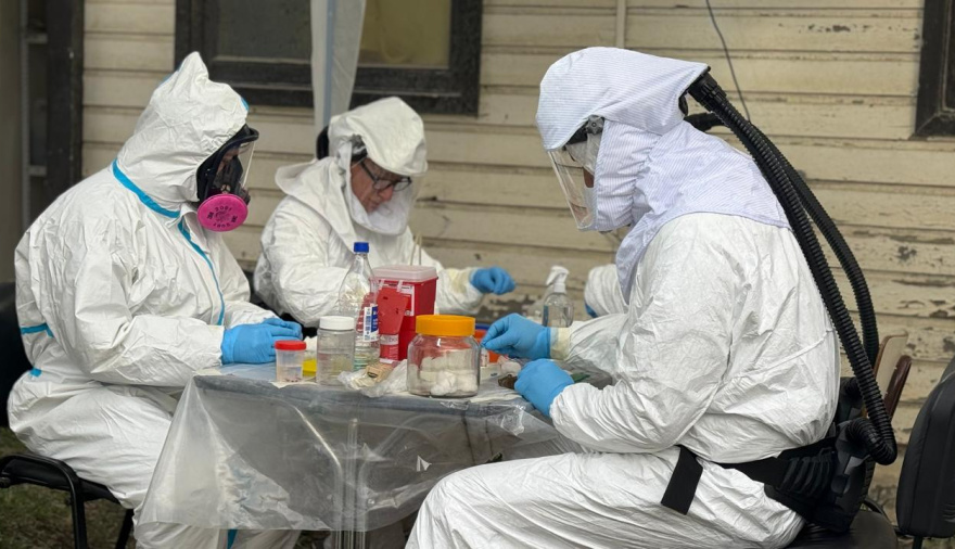 Salud confirmó que el hantavirus vinculado al crucero no circula en Ushuaia