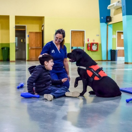 El dispositivo de terapia asistida con perros de Ushuaia trabaja con alumnos y alumnas de la Escuela N° 41
