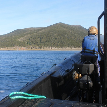 Se relevaron los puestos de control y vigilancia en Tierra del Fuego