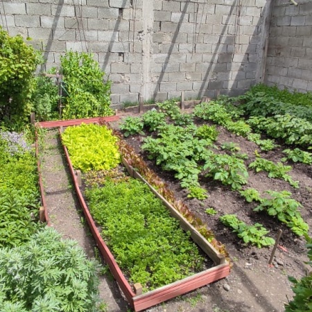 Tierra del Fuego tendrá su 1° Festival Provincial de Agroecología