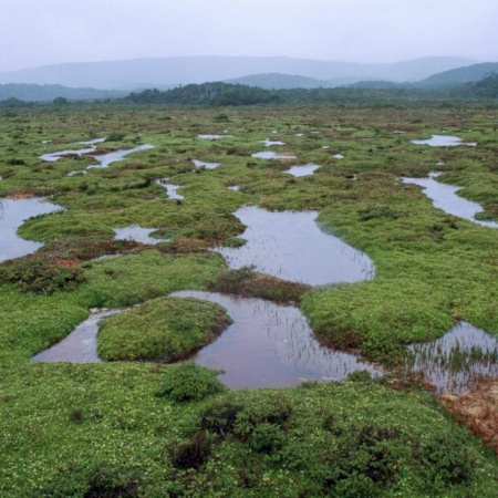 Investigadores de la UNTDF celebran la designación de Península Mitre como Sitio Ramsar