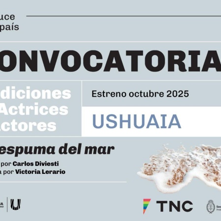 El Municipio y el teatro nacional Cervantes convocarán a audiciones a actores y actrices para la obra "La espuma del mar"