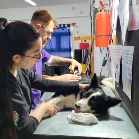 Tolhuin lanza la 3° campaña de salud veterinaria del año 2025