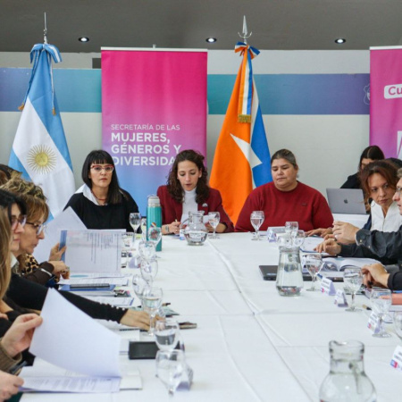 Se reunió el Consejo Consultivo de Mujeres, Género y Diversidades de Ushuaia