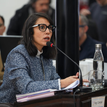 Monte de Oca consideró que no corresponde sacar el debate fuera de la órbita del Concejo