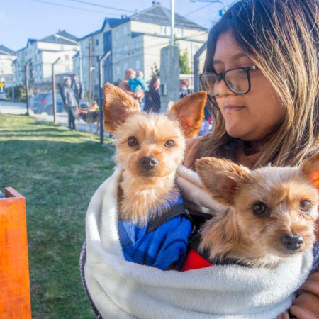 Jornada de salud animal en el Paseo de las Rosas