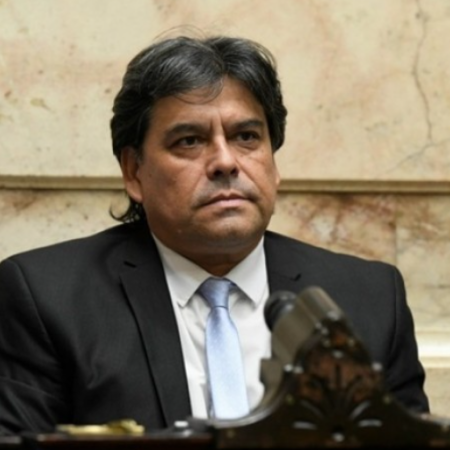 Araujo pidió informes sobre el Fondo Fiduciario para subsidios de gas