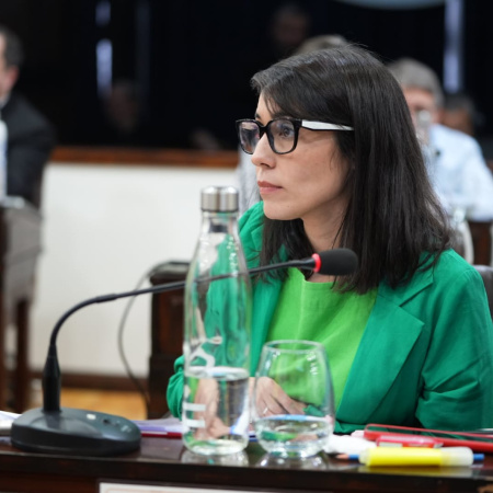 Monte de Oca invocó la Ley de Información Pública