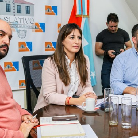 Laura Colazo renunció a la Comisión de Recursos Naturales  de la Legislatura