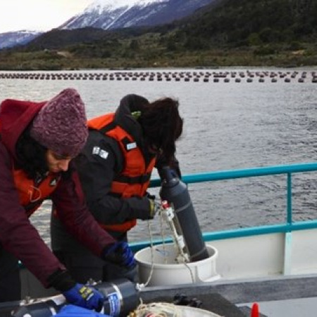 El Conicet analiza el canal Beagle para el primer cultivo de mejillones a escala industrial