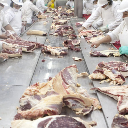 La Justicia suspendió por 30 días el ingreso de carne con hueso a la Patagonia