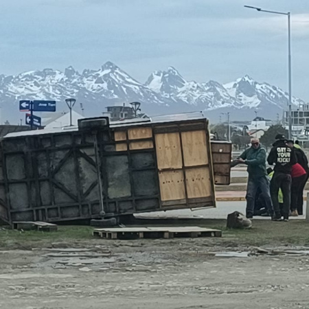 Temporal de viento causa caída de árboles y voladuras de techo