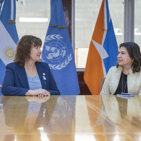 Referentes de la ONU fueron recibidos por la Vicegobernadora