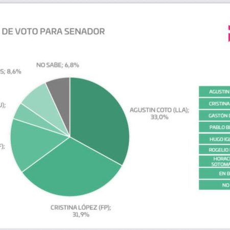 Encuestas dan ganadora a La Libertad Avanza en Tierra del Fuego