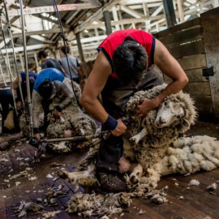 Prorrogaron la norma que permite trabajar en el campo temporalmente sin perder los planes sociales