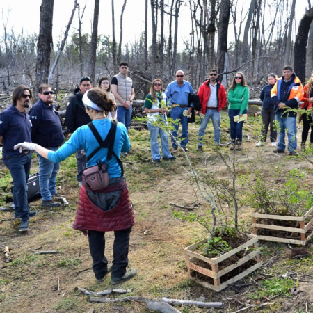 Total Austral invierte en la restauración y mejora de la Reserva Provincial Corazón de la Isla