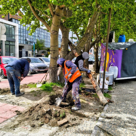 La Municipalidad avanza con las tareas de puesta en valor en el casco céntrico