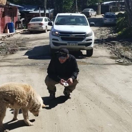 Zoonosis municipal labró actas de infracción por perros sueltos en Dos Banderas