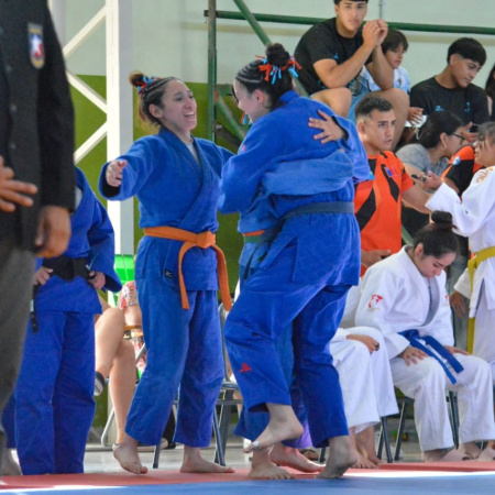 Araucanía: TDF se quedó con el oro en judo