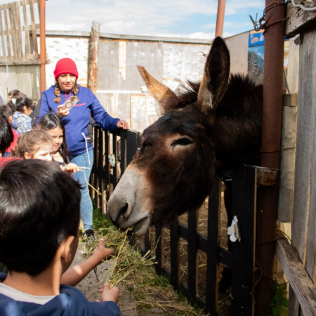Gobierno realiza actividades recreativas, deportivas y culturales