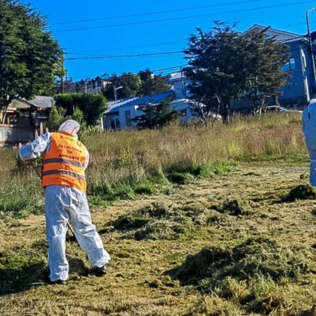 Realizan mantenimiento de plazas y espacios públicos
