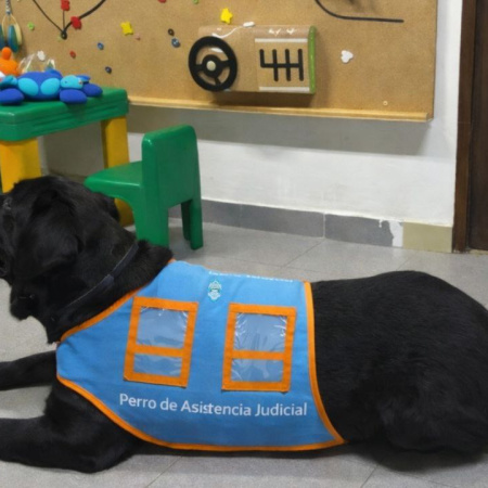 La Justicia evalúa incorporar canes para casos de menores vinculados a procesos judiciales