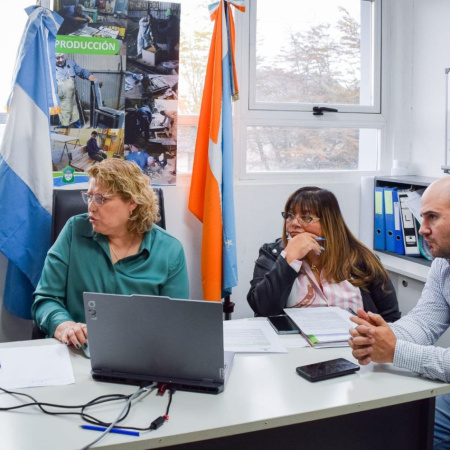 Se presentó una oferta para la pavimentación de calle Los Ñires