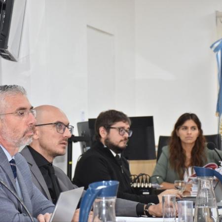 Juicio: Terminaron las testimoniales y comienzan los alegatos en el caso del homicidio de Alexis Baciocchi