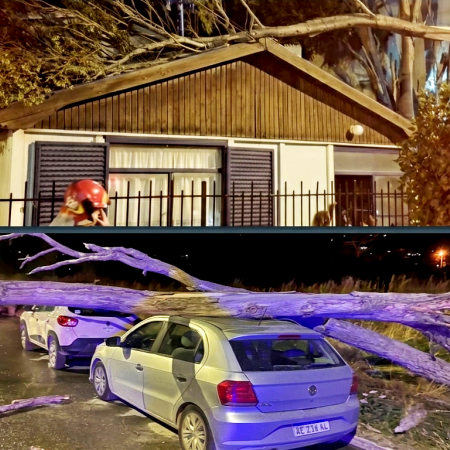 Temporal de viento en Ushuaia: ráfagas de más de 100 km/h causaron destrozos y caída de árboles