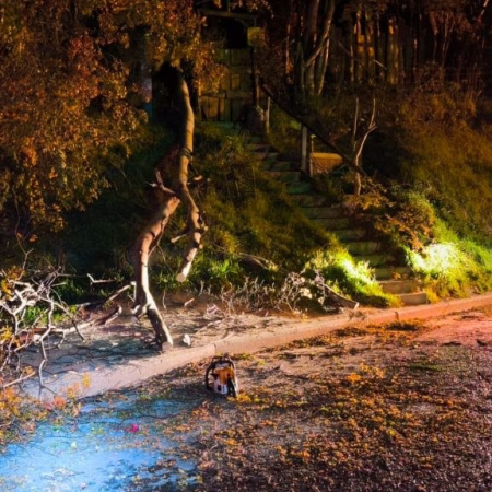 Fuertes vientos: La Municipalidad activó el Comando de Incidentes