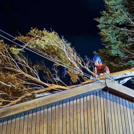 El Municipio despliega un operativo integral de acompañamiento y limpieza