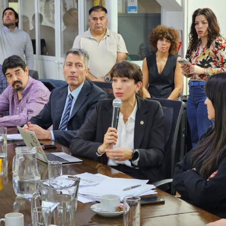 La Secretaría de Industria expuso ante legisladores la situación actual del sector