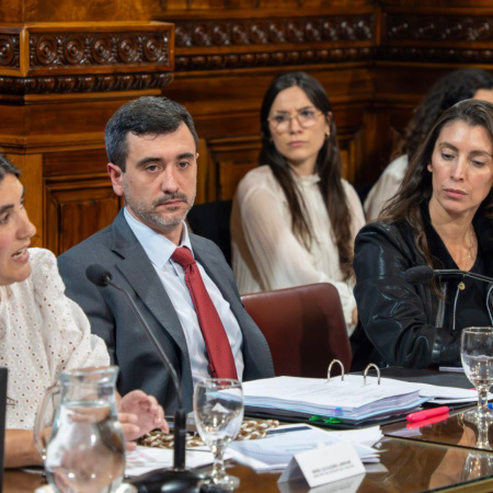 Asuntos Constitucionales: Coto encabeza el tratamiento de la reforma electoral