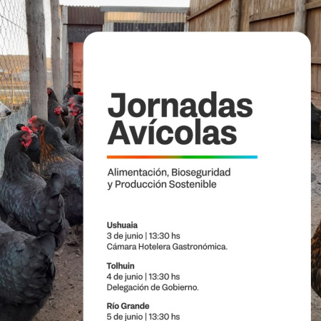 Impulsan la realización de jornadas avícolas para la producción local