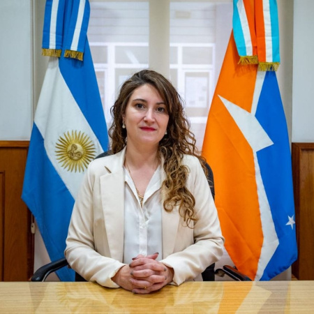 Femicidios en la Argentina: "Las cifras son alarmantes", afirmó Maestro